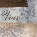 Trust by Elizabeth Medley