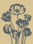 Tulip 1