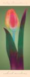 Tulip Chromatics II by Robert Mertens