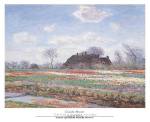Tulip Fields at Sassenheim by Claude Monet
