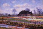 Tulip Fields at Sassenheim by Claude Monet