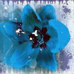 Tulip Fresco (blue) by Erin Clark