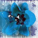 Tulip Fresco (blue) by Erin Clark