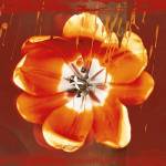 Tulip Fresco (red) by Erin Clark