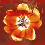 Tulip Fresco (red) by Erin Clark