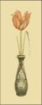 Tulip in Vase I