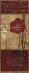 Tulip Journal II by Isabelle De Borchgrave