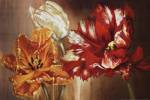 Tulips by Selina Werbelow