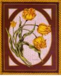 Tulips by Oliver Clare