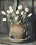 Tulips on Bench by Laurie Eastwood