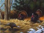 Turkies by Leo Stans