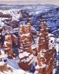 Turned to Stone Bryce by Bob Quick
