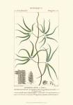 Turpin Botany II by Pierre Jean Francois Turpin