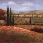 Tuscan Cypress I by Nan
