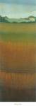 Tuscan Fields II by Robert Charon