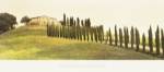 Tuscan Hills by Jim Chamberlain