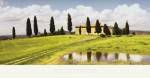 Tuscan Hillside by Jim Chamberlain