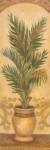 Tuscan Palm I by Shari White