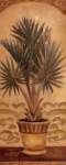 Tuscan Palm II by Shari White