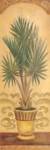 Tuscan Palm II by Shari White