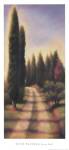Tuscan Road I by David Wander