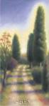 Tuscan Road II by David Wander