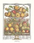 Twelve Months of Fruits, 1732/March by Robert Furber