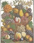 Twelve Months of Fruits, 1732/October by Robert Furber