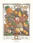Twelve Months of Fruits, 1732/October by Robert Furber