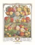 Twelve Months of Fruits, 1732/September by Robert Furber
