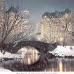 Twilight in Central Park by Rod Chase