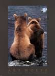Two Bear Cubs by Art Wolfe
