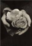 Two Roses by Tessa Traeger