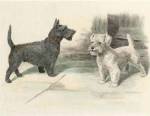 Two Scotties by Helen Dixon