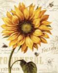 Under the Sun I by Lisa Audit