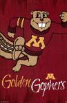 University of Minnesota - Logo 13