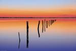 Vanishing Fence Line by Wayne Bradbury Photography