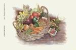 Vegetable Basket by Consuelo Gamboa