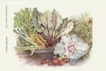 Vegetable Display by Consuelo Gamboa