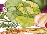 Vegetable Melange II by Julia Minasian