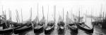Venice Gondolas by Derek Harris
