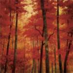 Vermilion Wood by Robert Striffolino