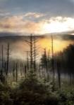 Vermont Swamp at Sunrise by Stephen Goodhue Stephen Goodhue