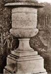 Versailles Urn II by Le Deley