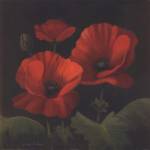 Vibrant Red Poppies I by Gloria Eriksen