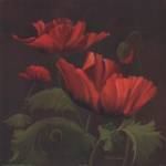 Vibrant Red Poppies II by Gloria Eriksen
