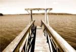 View From The Gulls Nest by Delaney Flanders