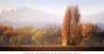 Vineyard Mist by Lance Kuehne