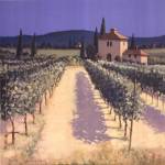 Vineyard Shadows by David Short