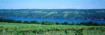 Vineyard with a lake in the background, Keuka Lake, Finger Lakes, New York State, USA by Panoramic Images